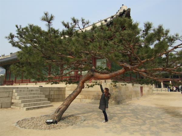 Gyeongbokgung Palace, Seoul