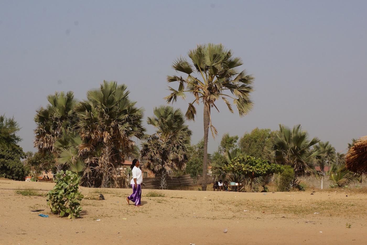 Slowing Down in Guinea-Bissau