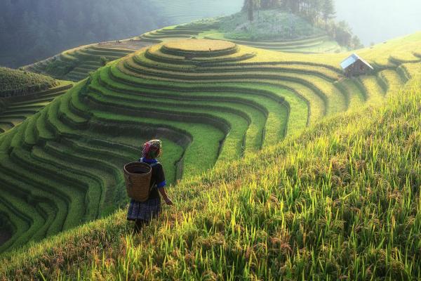 Farming in a Foreign Land