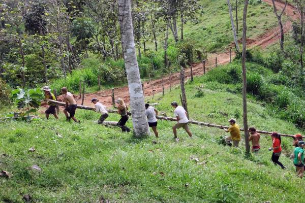 Room to Grow: Sustainable Farming in Costa Rica