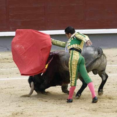 Of Men and Bulls: The Spanish Tradition of Bullfighting